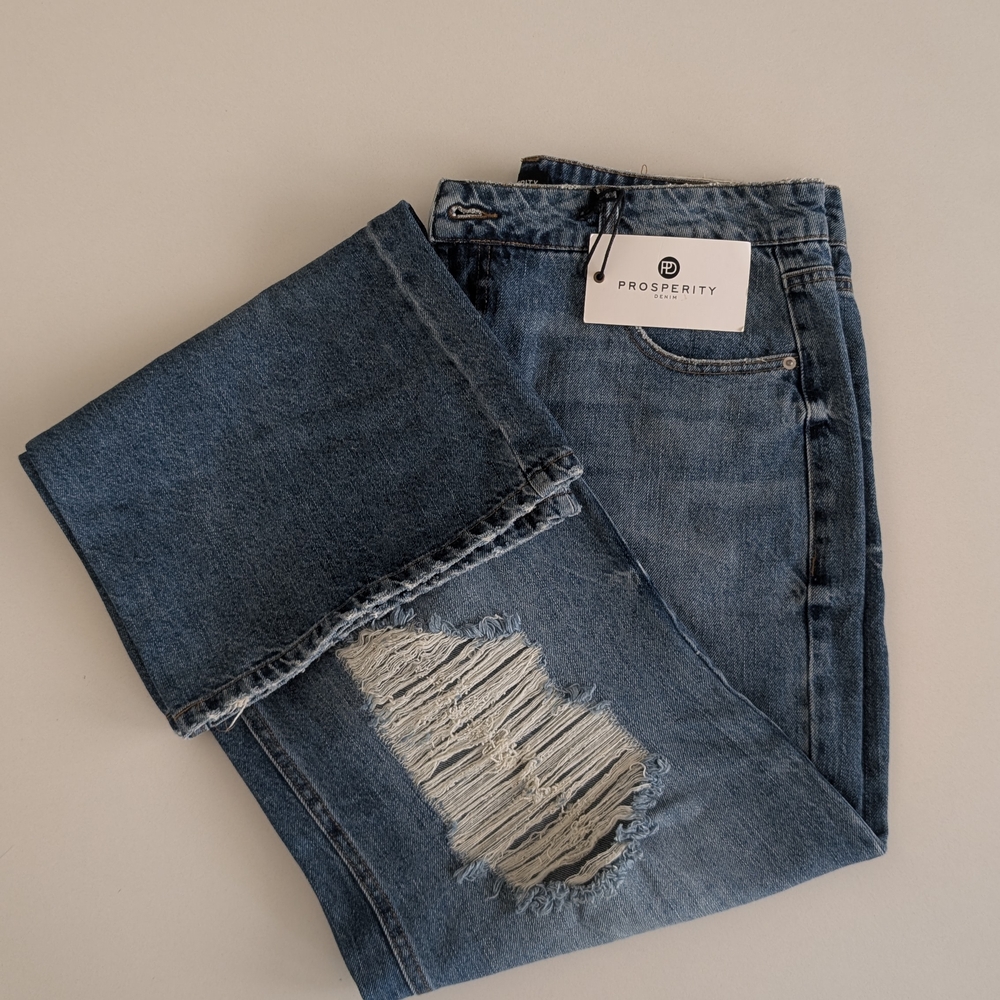 Prosperity Women's Blue Flare Jeans